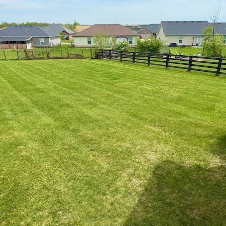 How to Keep Your Lawn Green and Healthy During Kentucky’s Hot Summers Thumbnail