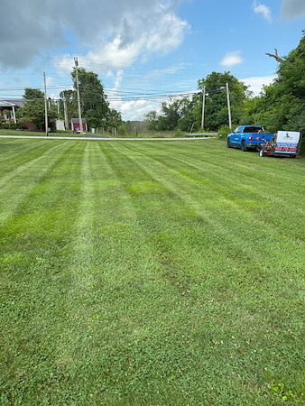 Why January Is the Best Time to Plan Your Spring Landscaping Projects Thumbnail