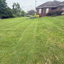 Lawn Mowing Berea, KY 2