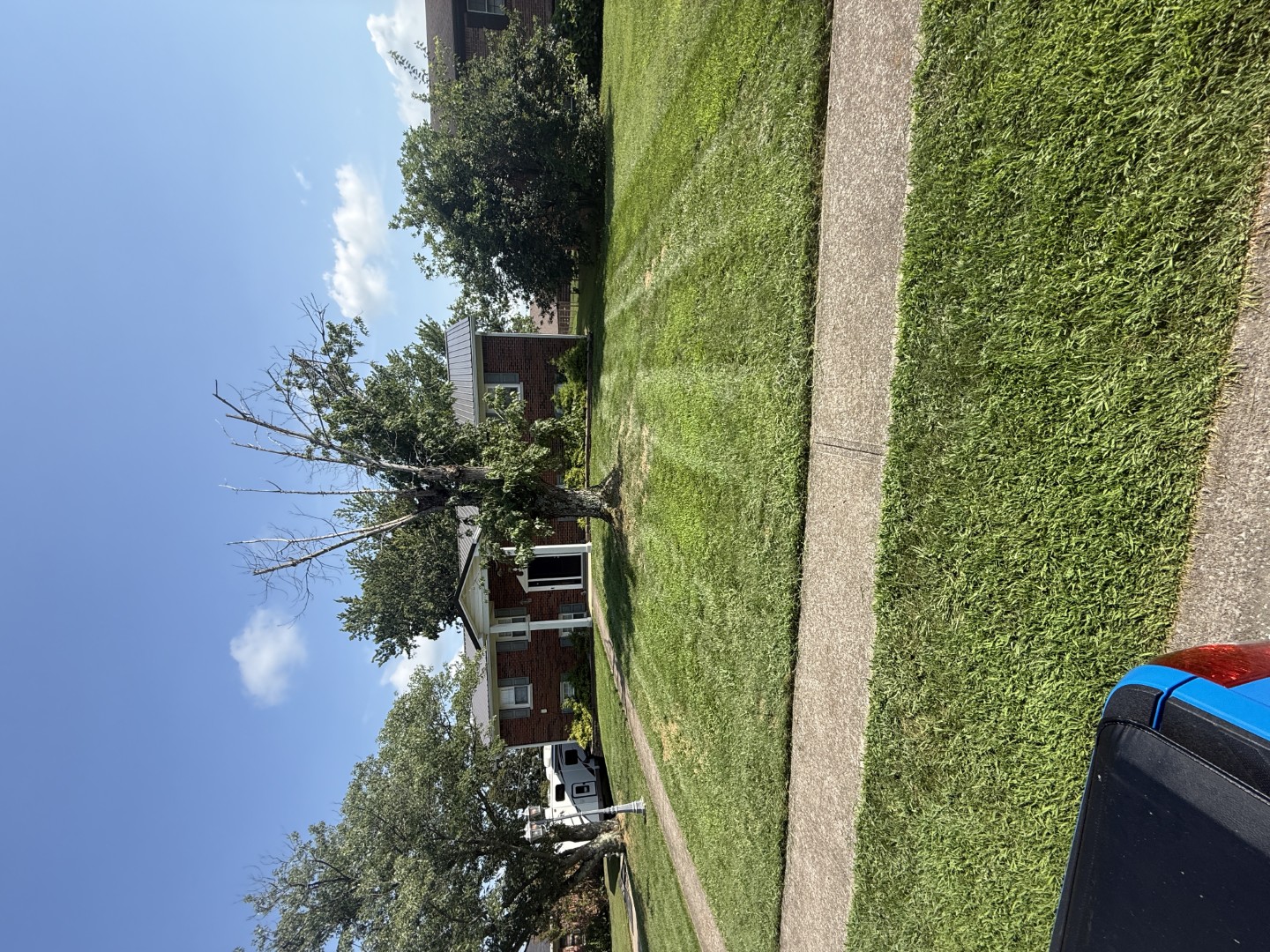 Superior Lawn Care In Richmond KY Thumbnail