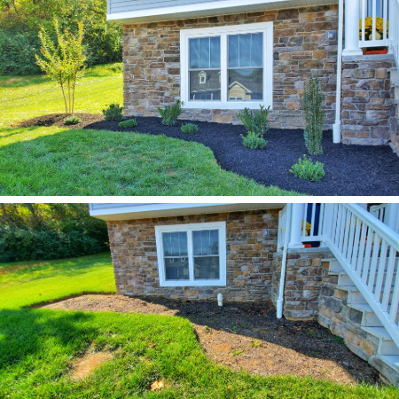 Landscape Bed Design Thumbnail